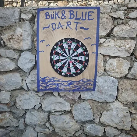 Daire Buek&blue Palamutbuku
